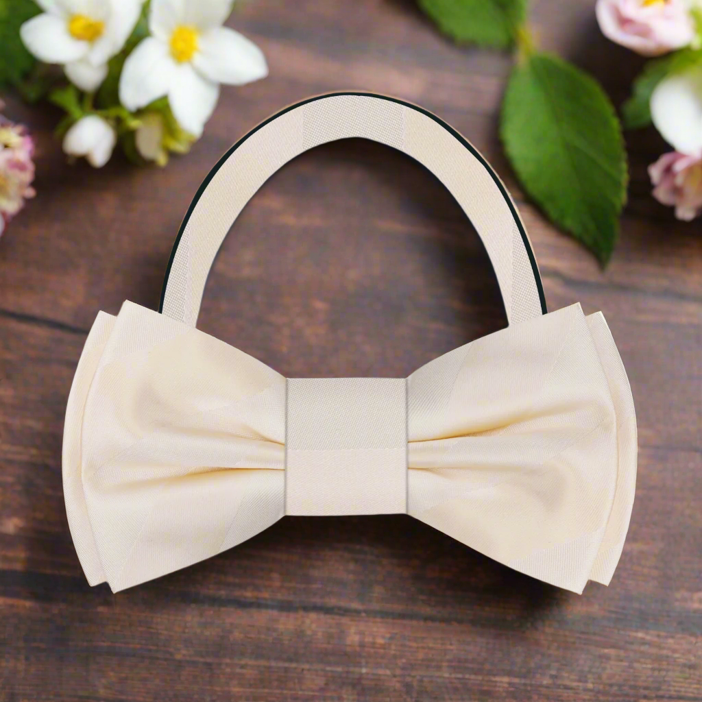 Stylish silk stripe bow tie paired with a crisp white dress shirt and navy blazer
