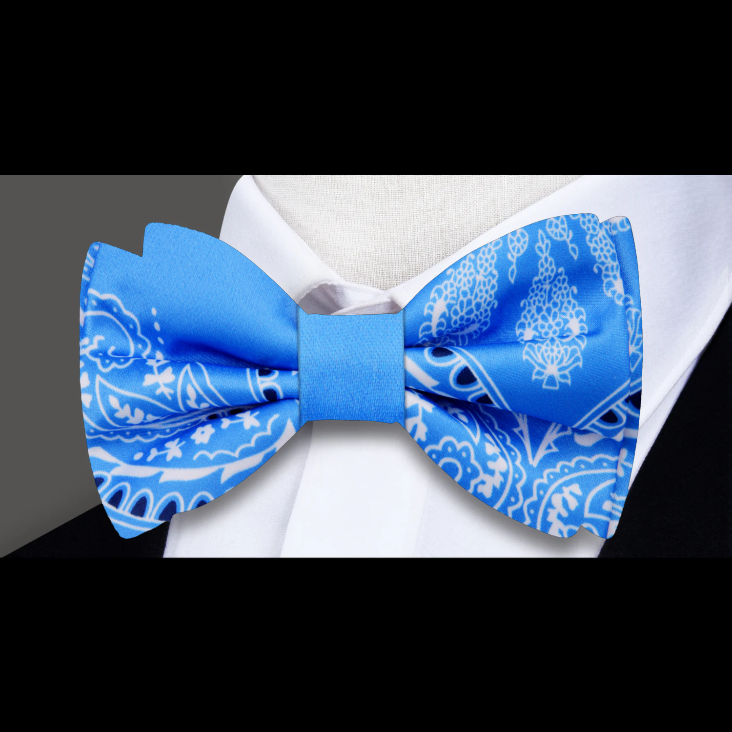 Close-up of the paisley pattern on the baby blue bow tie, highlighting the bold black and white details.