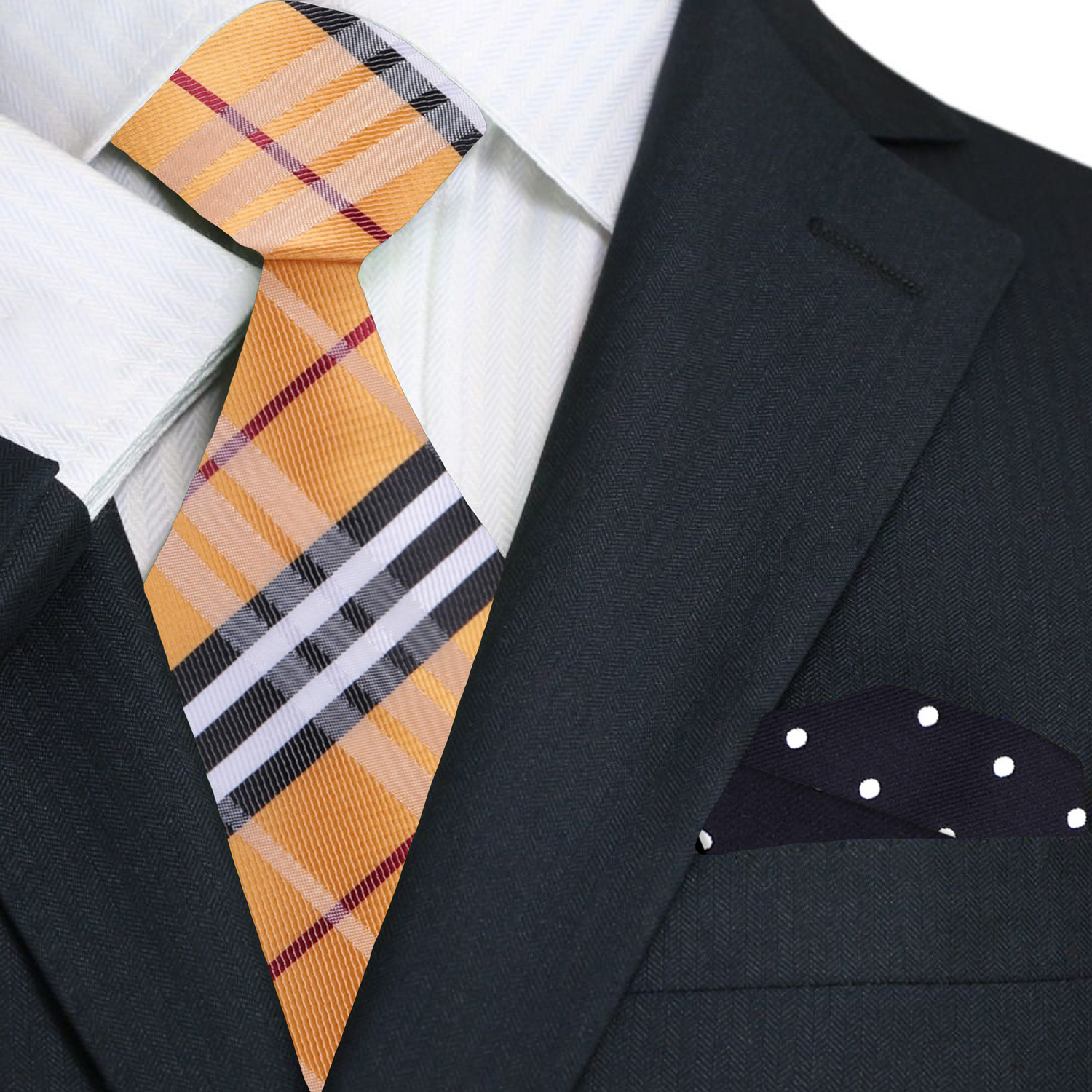 Model wearing the silk plaid tie with a white dress shirt for a formal event