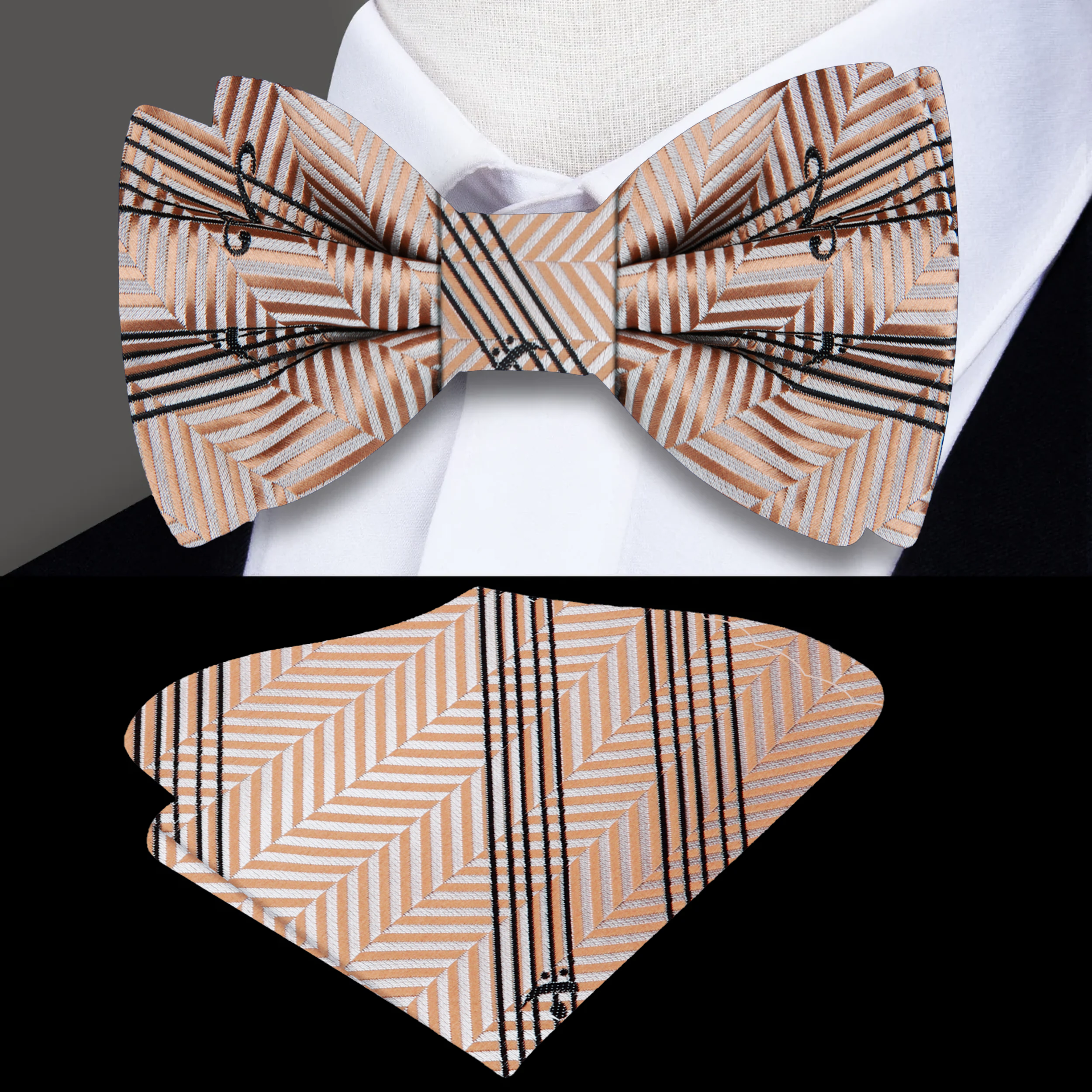 Man wearing a stylish bow tie for concerts with a tuxedo at a music event