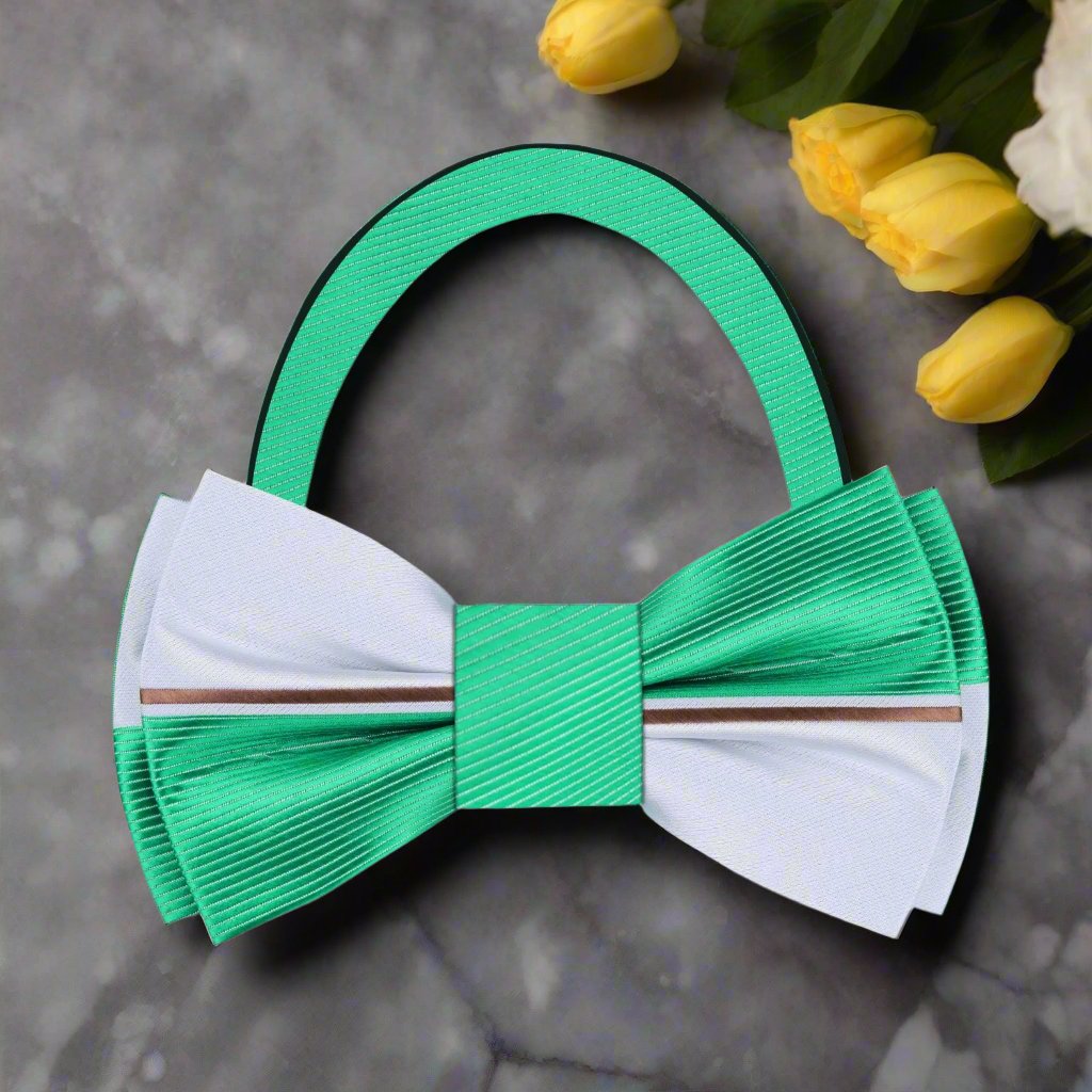 Bow tie displayed with matching pocket square on a white dress shirt