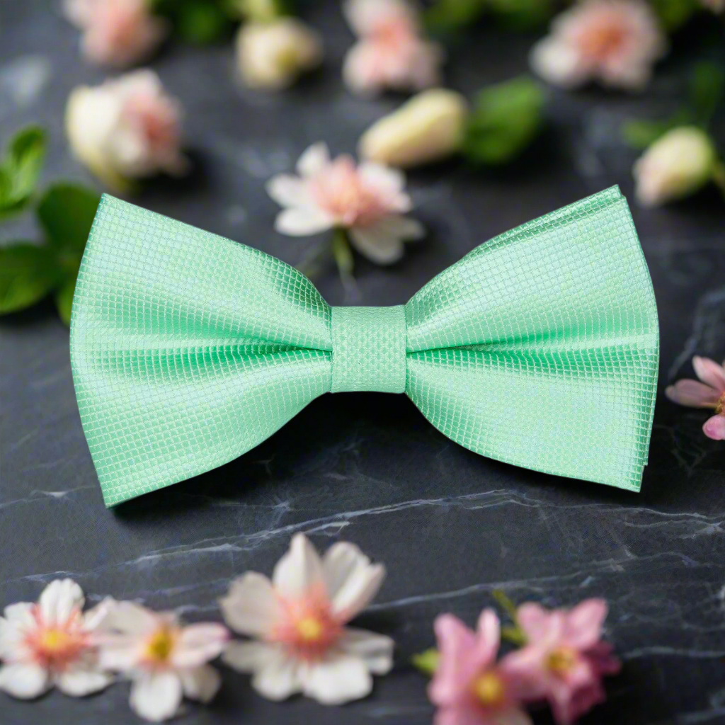 Stylish mint green solid color bow tie suitable for casual gatherings.