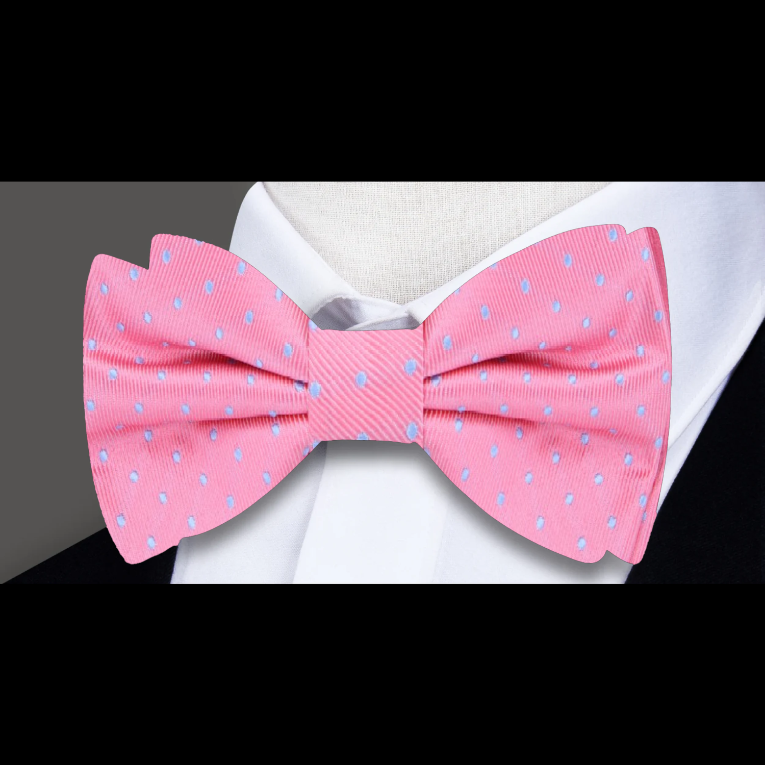 Man wearing the polka dot silk bow tie at a summer outdoor wedding
