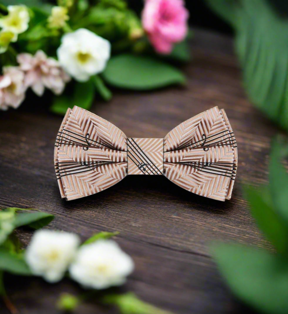 Man wearing a stylish bow tie for concerts with a tuxedo at a music event