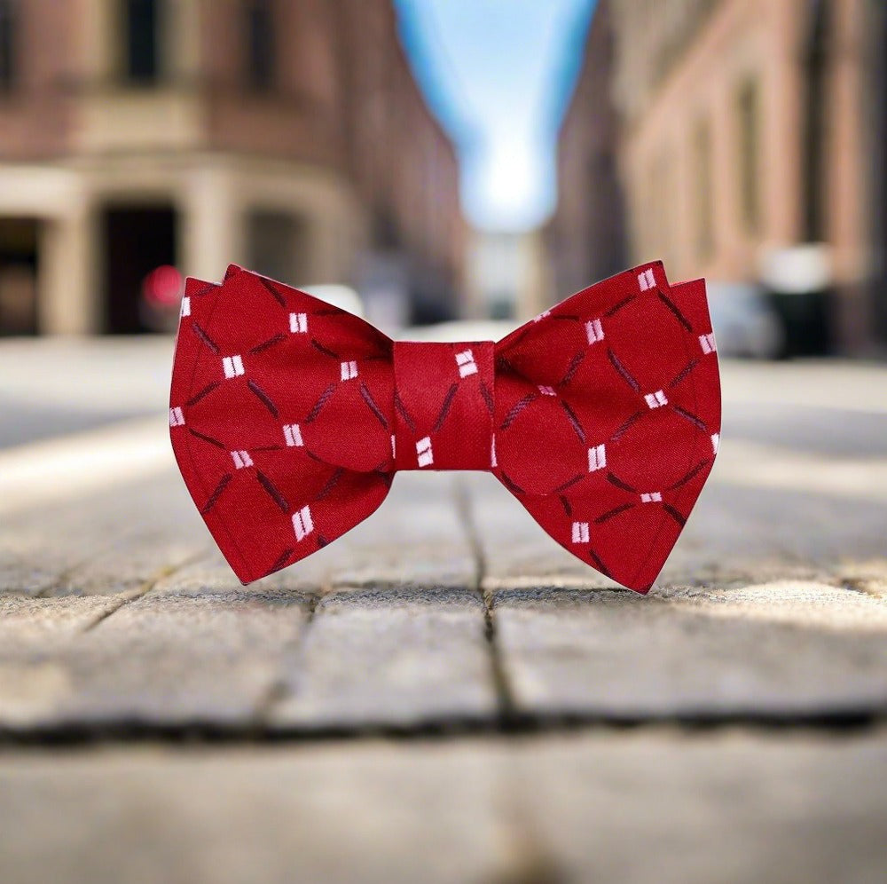 Styled mens bow tie with a sharp look, perfect for weddings