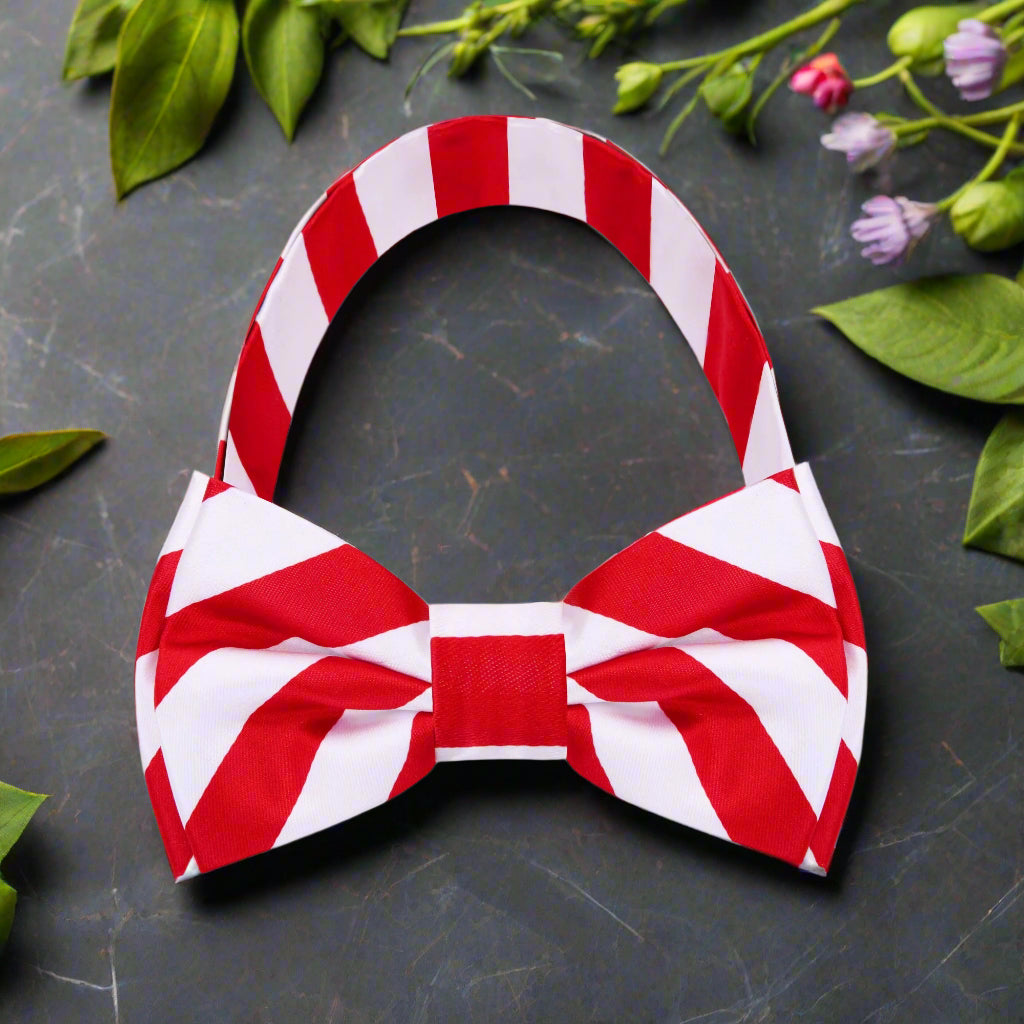 Red and white stripe silk bow tie displayed on a crisp white shirt